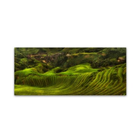 Max Witjes 'Waves Of Rice' Canvas Art,8x19